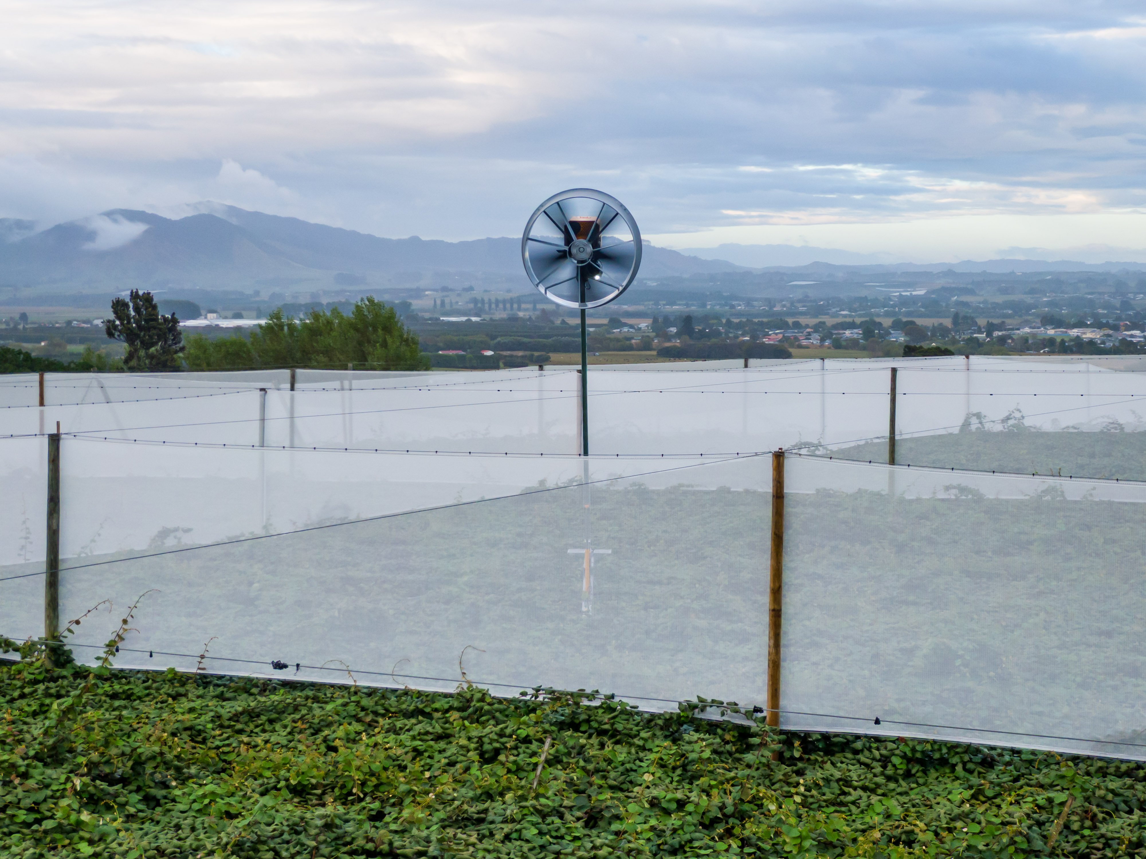 frost fan in kiwifruit orchard